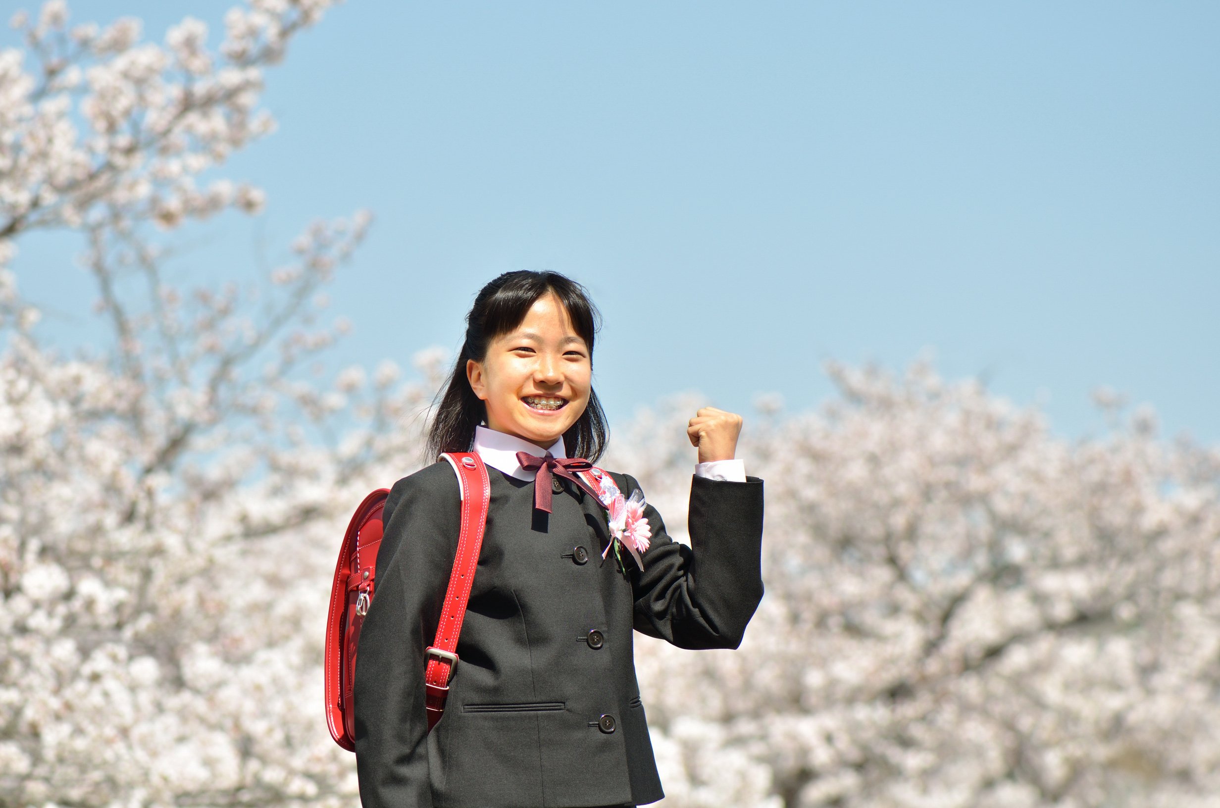 Japanese elementary school student (cherry, graduation)